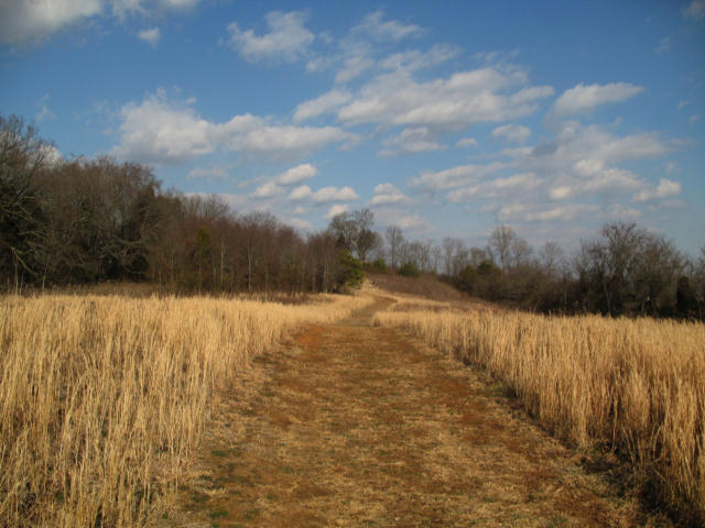 Great, wide dirt trails make hiking here a real pleasure.